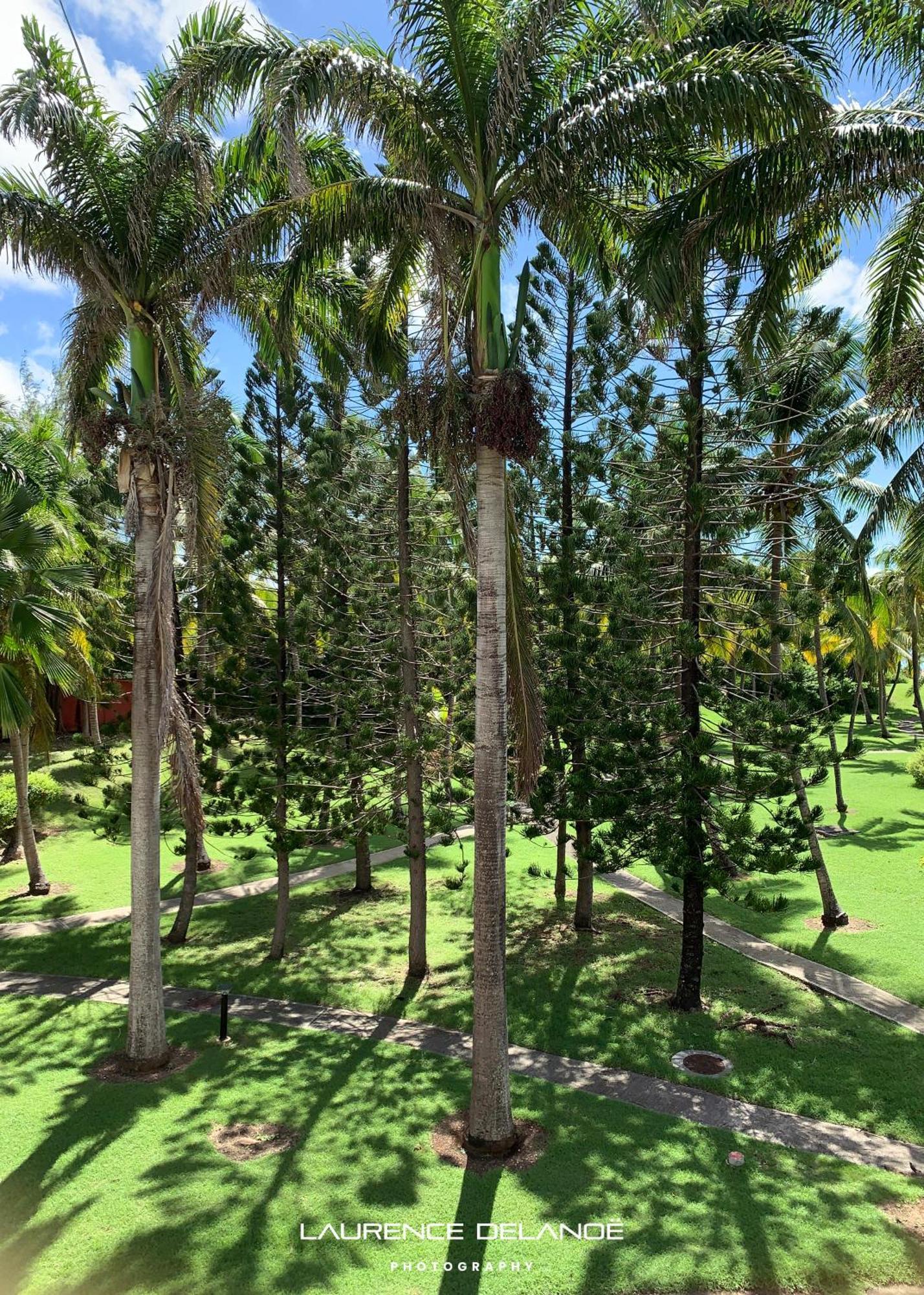 Appartement Varangue, Anse Des Rochers Saint-Francois  Exteriör bild